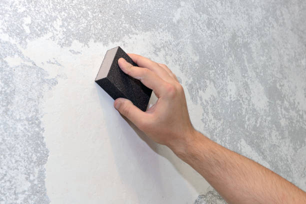 Best Crawl Space Mold Remediation  in Fall City, WA