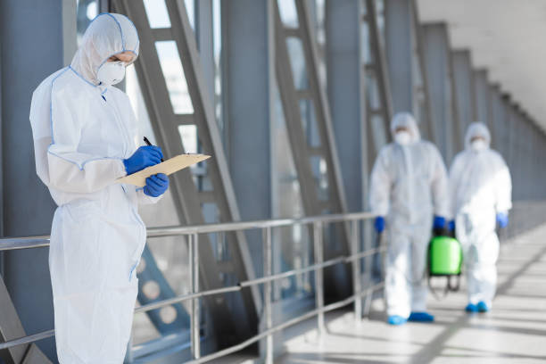 Best Environmental Consulting for Mold Prevention  in Fall City, WA