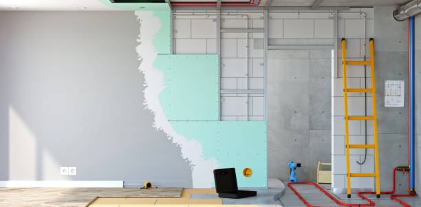Best Post-Construction Mold Inspection  in Fall City, WA