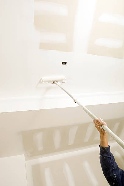Best Biohazard Mold Removal  in Fall City, WA